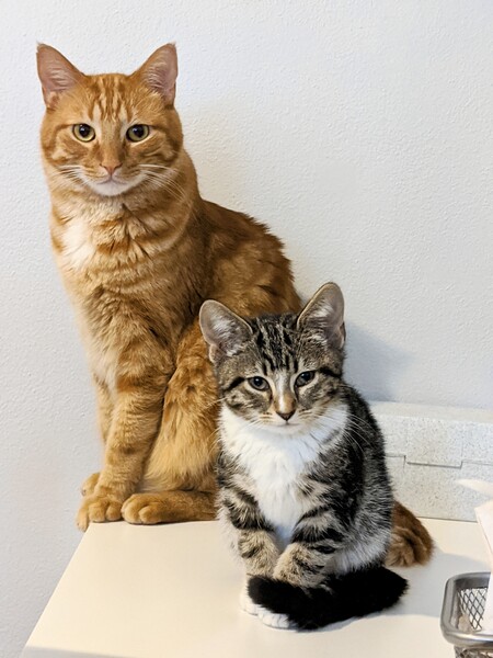 Milo & Mia