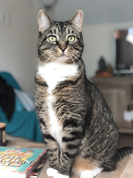 Norman