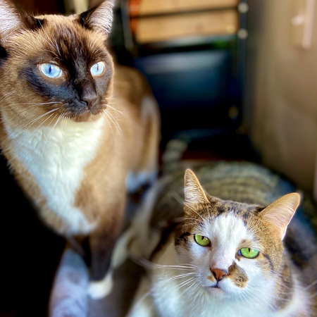 Jaxson and Moeshe 
