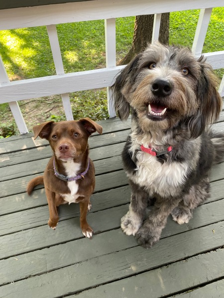 Coco and Mabel