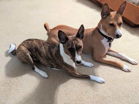 Tiegan and Miles