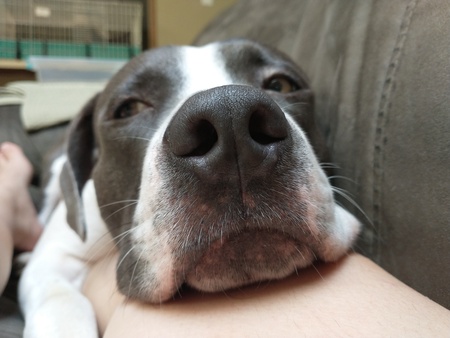 Ben
