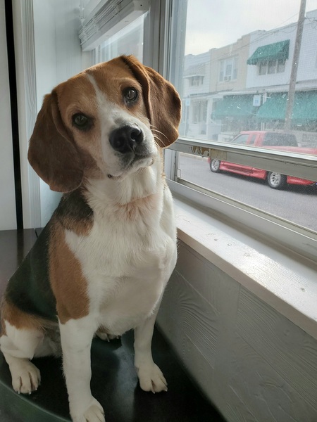Maddie