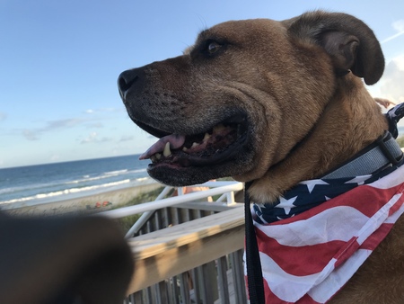Duke