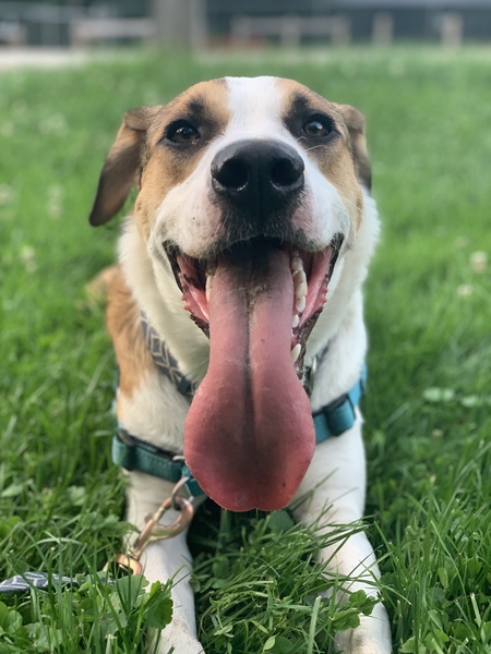 Rudy