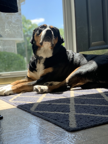 Mimi “Mama Bear”