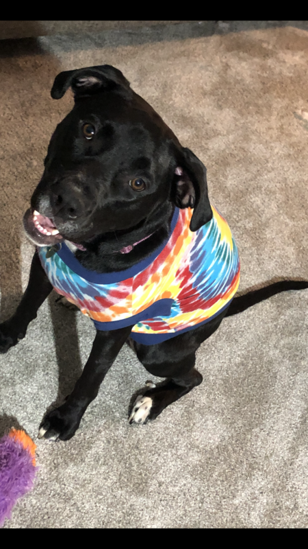 Ellie Mae 