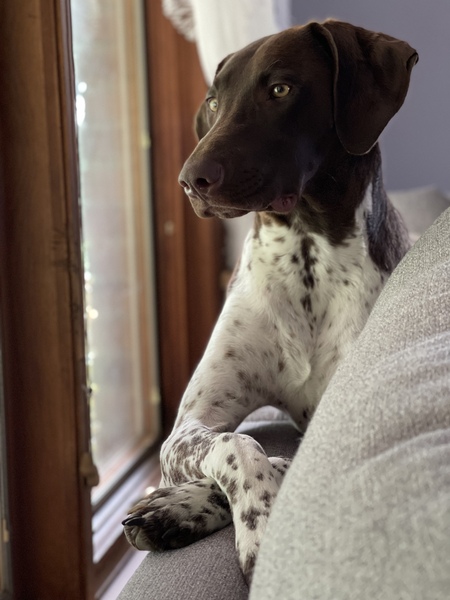 Oakley