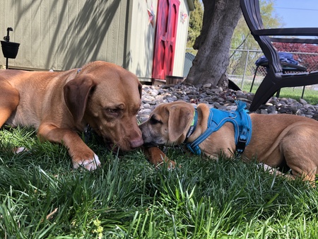 Cash and Panko