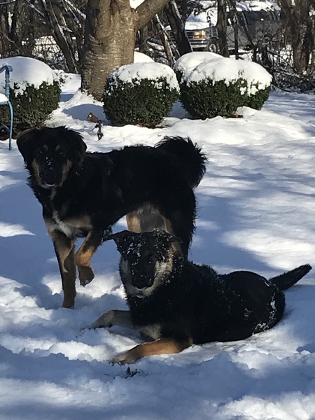 Ricky and Lucy