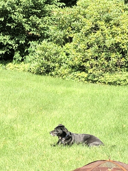 Chumba