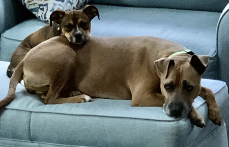 Jersey & Baxter