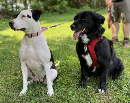 Izzy and Bella