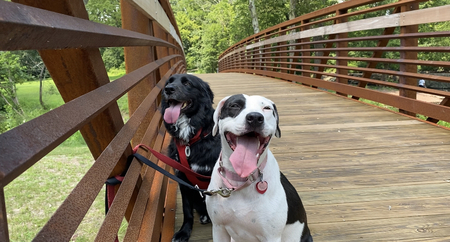 Izzy and Bella