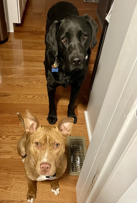 Nico and Quinn