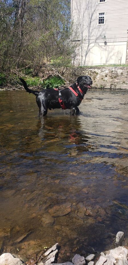 Max