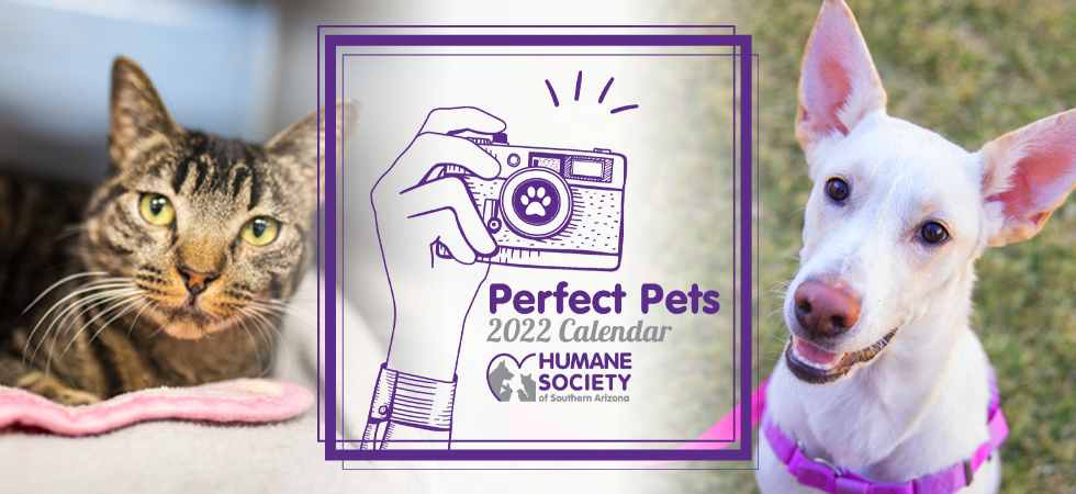Humane Society of Southern Arizona | Perfect Pets 2022 Calendar Search
