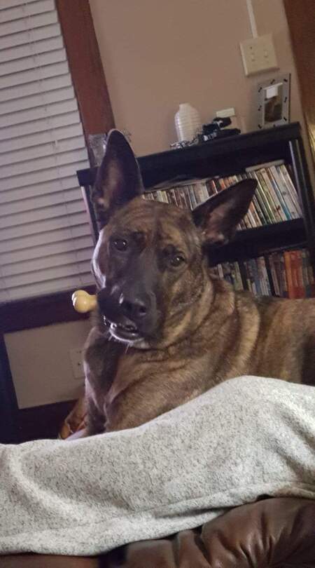 Libby