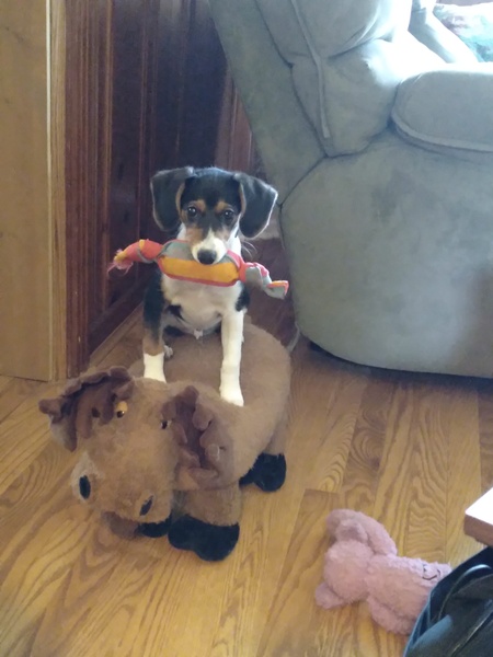 Tucker