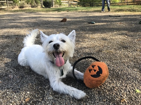 Maggie