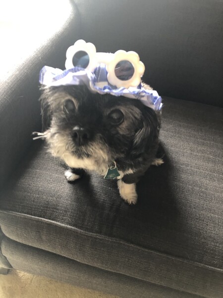 Lulu