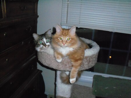 Bailey and Oliver