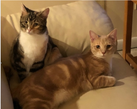 Larry and Cheeca 