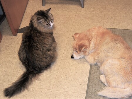 Edie & Rollo