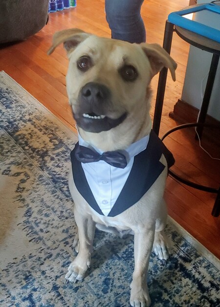 Finn