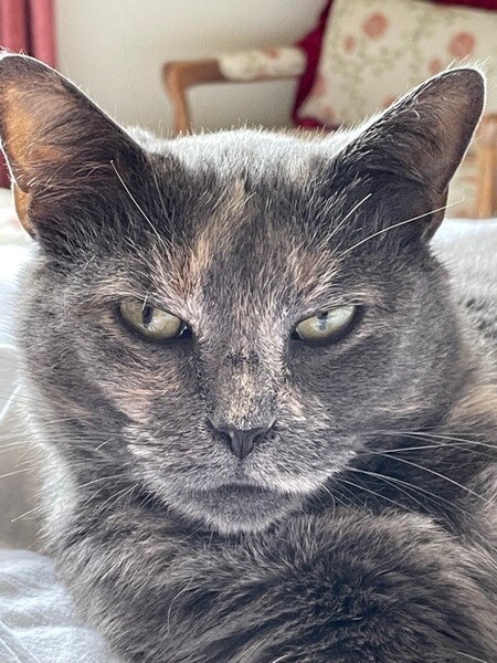 Edna 