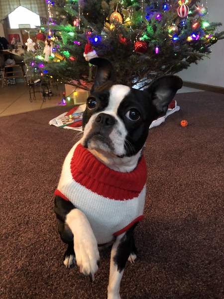 Bea