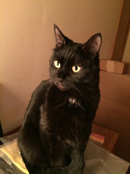 Benny 