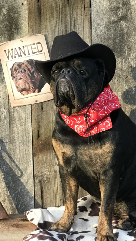 CAPONE