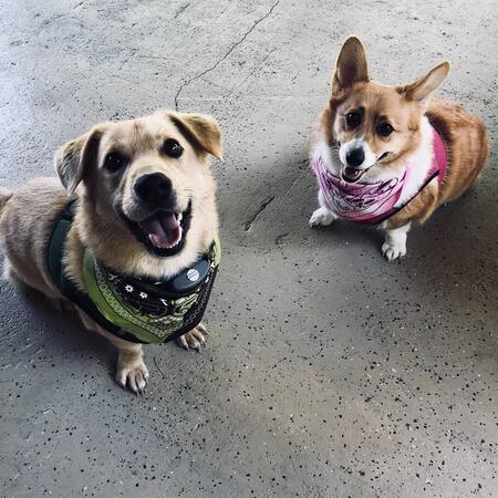 Shorty & Callie 