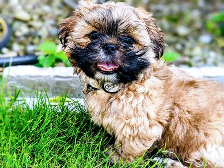 Charlie