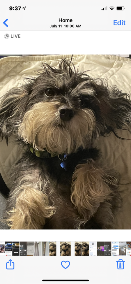 Charlie 