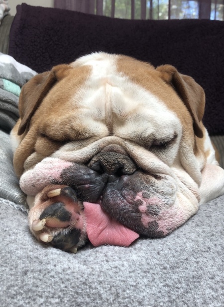 Bronson 