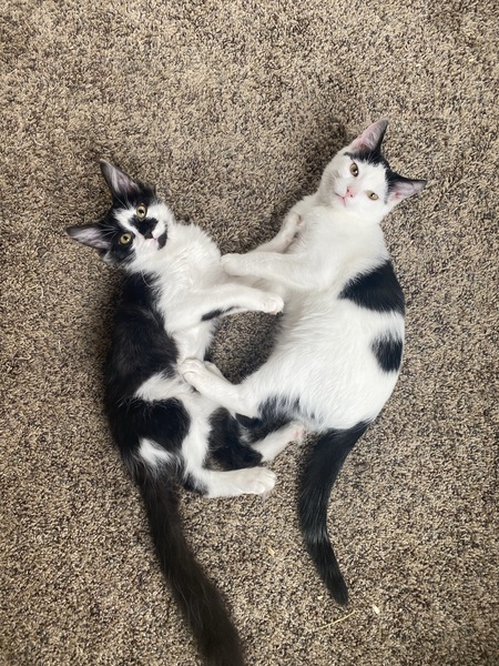 Jebb & Ramsey
