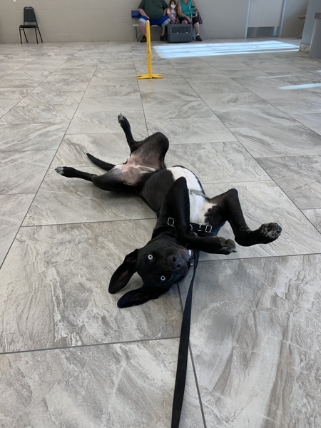 Remi