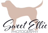 Sweet Ellie Photography
