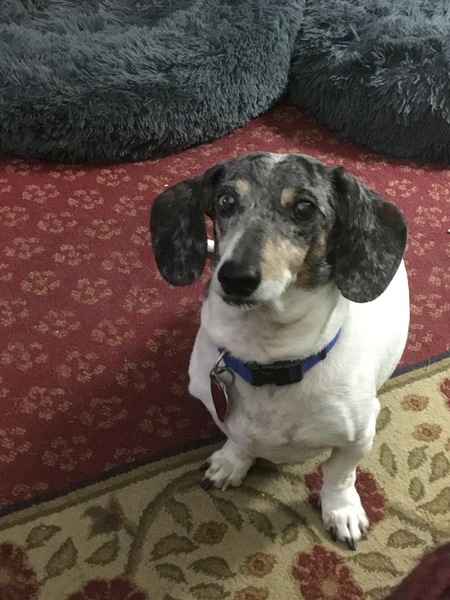 Charlie