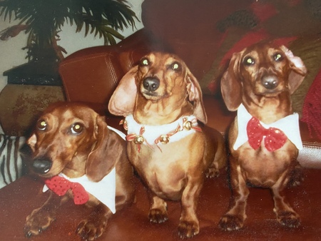 Dewey, Chloe, and Sanford