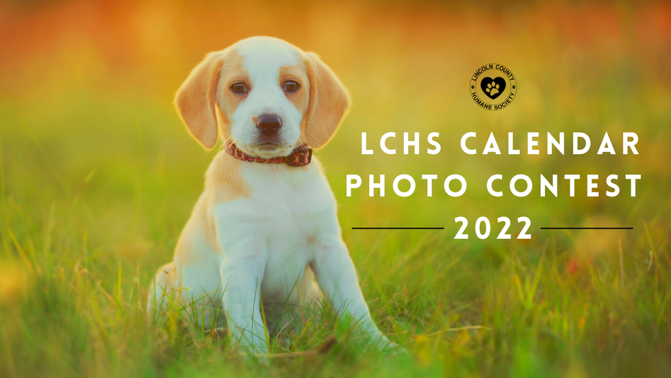 Lincoln County Humane Society LCHS 2022 Calendar Photo Contest