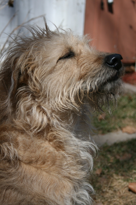 Copper
