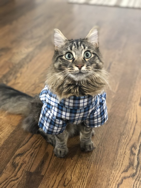 Theodore 