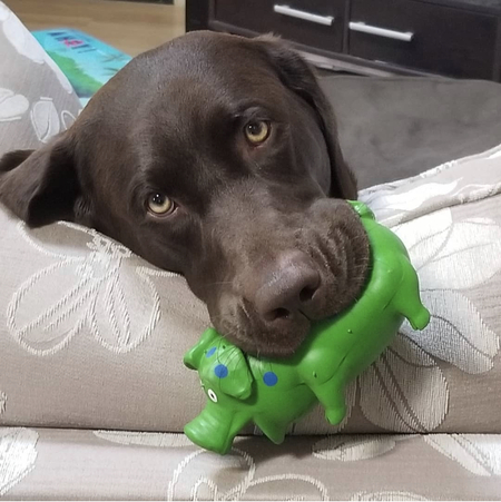 Milo