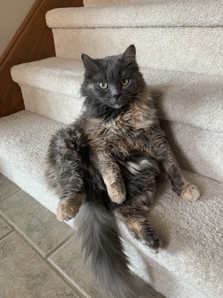 Fiona