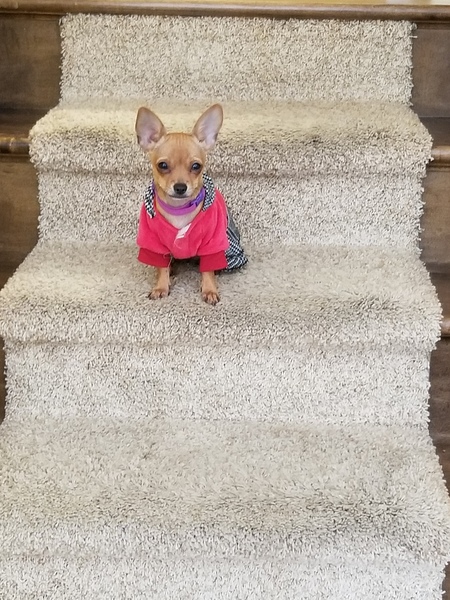 Lucie