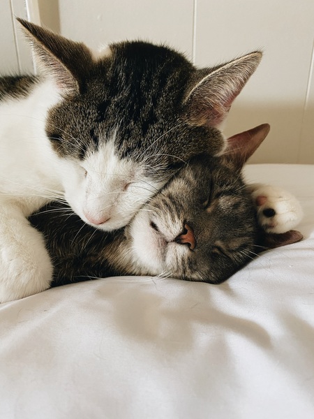 Olly & Lucy