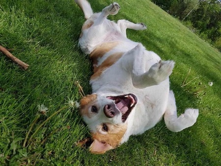 Molly